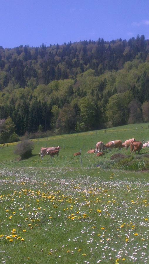 Appartamento La Petite Fleur Enges Esterno foto